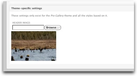 theme-header-setting.png